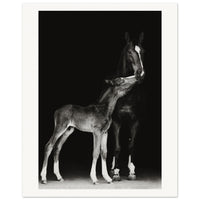 72f2e948-5b54-4d55-8541-0aef8805455e