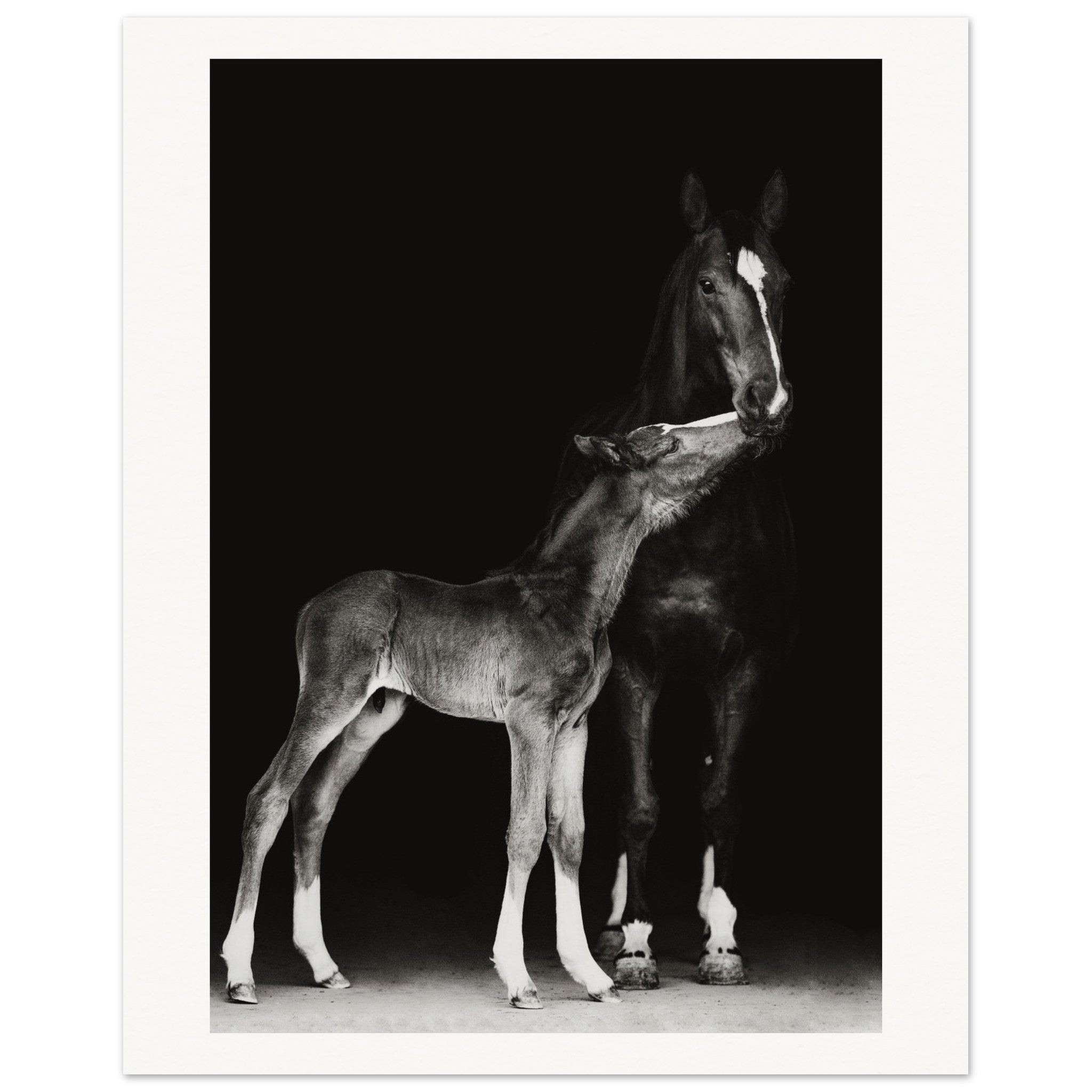 72f2e948-5b54-4d55-8541-0aef8805455e