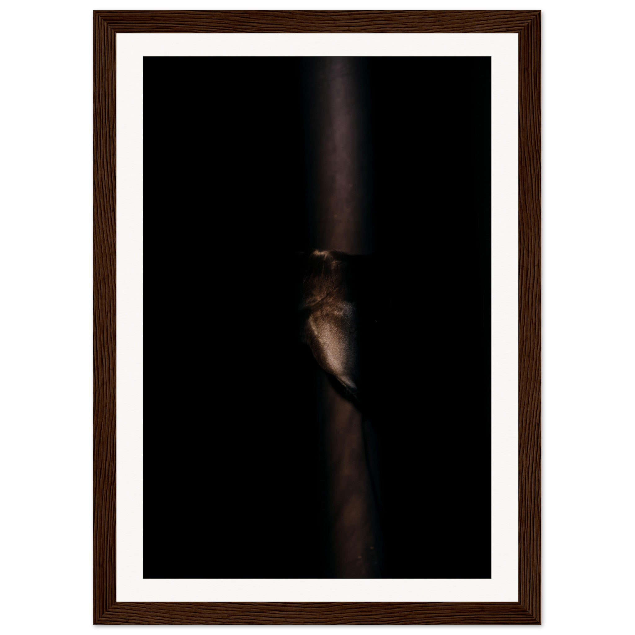 72ff404f-73a2-4c9f-8b5c-f3adeb86fabc