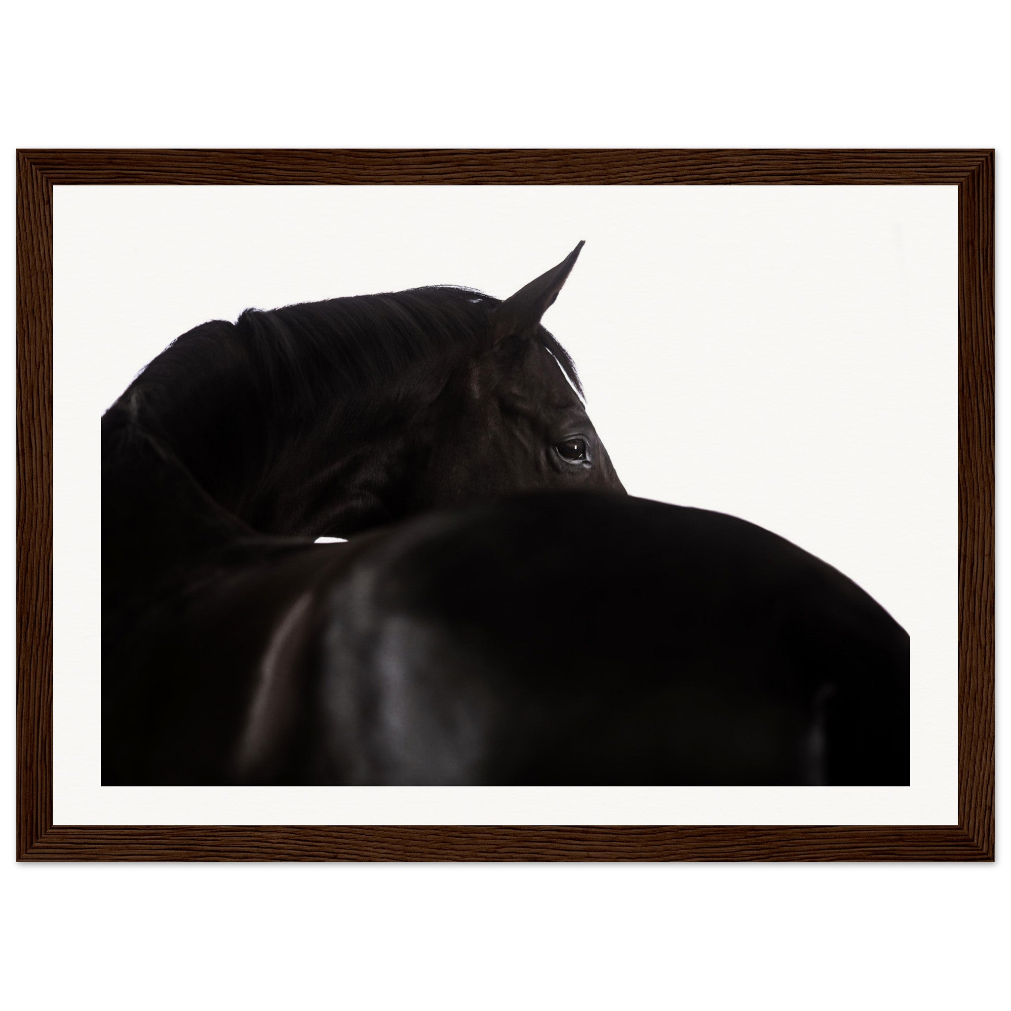 7305726a-6be9-4af0-bc82-f71c86139b23