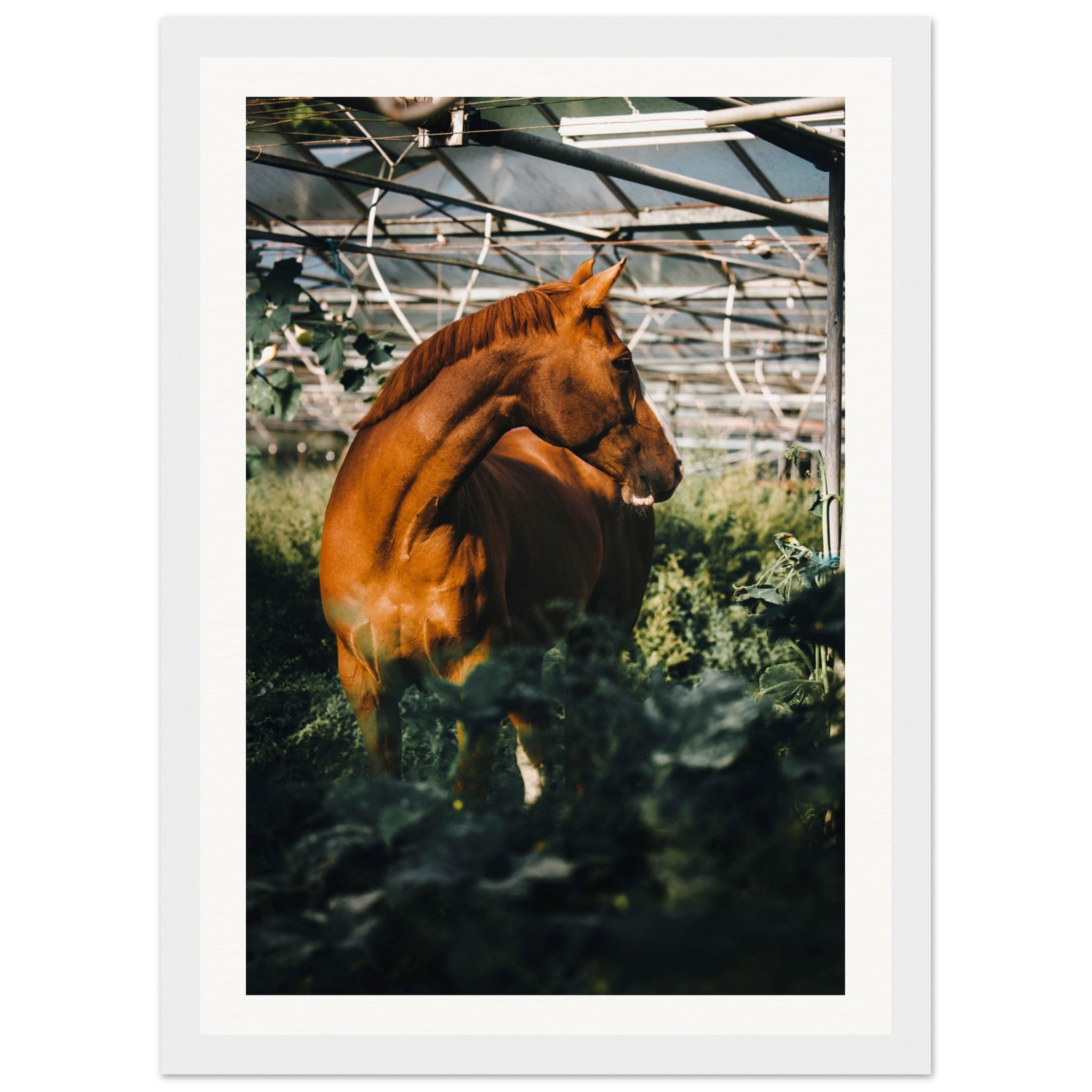 731c63fa-0591-4ec7-8eb5-e79851ee44f2