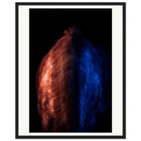 7345b1b8-97ae-4df6-8843-c914681f6b99