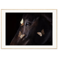 7345b51a-a268-41cc-a675-c790351f3d9c