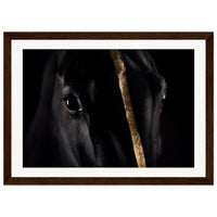 73952c2d-1fb1-4168-ae63-9a3ddf9e3a8d