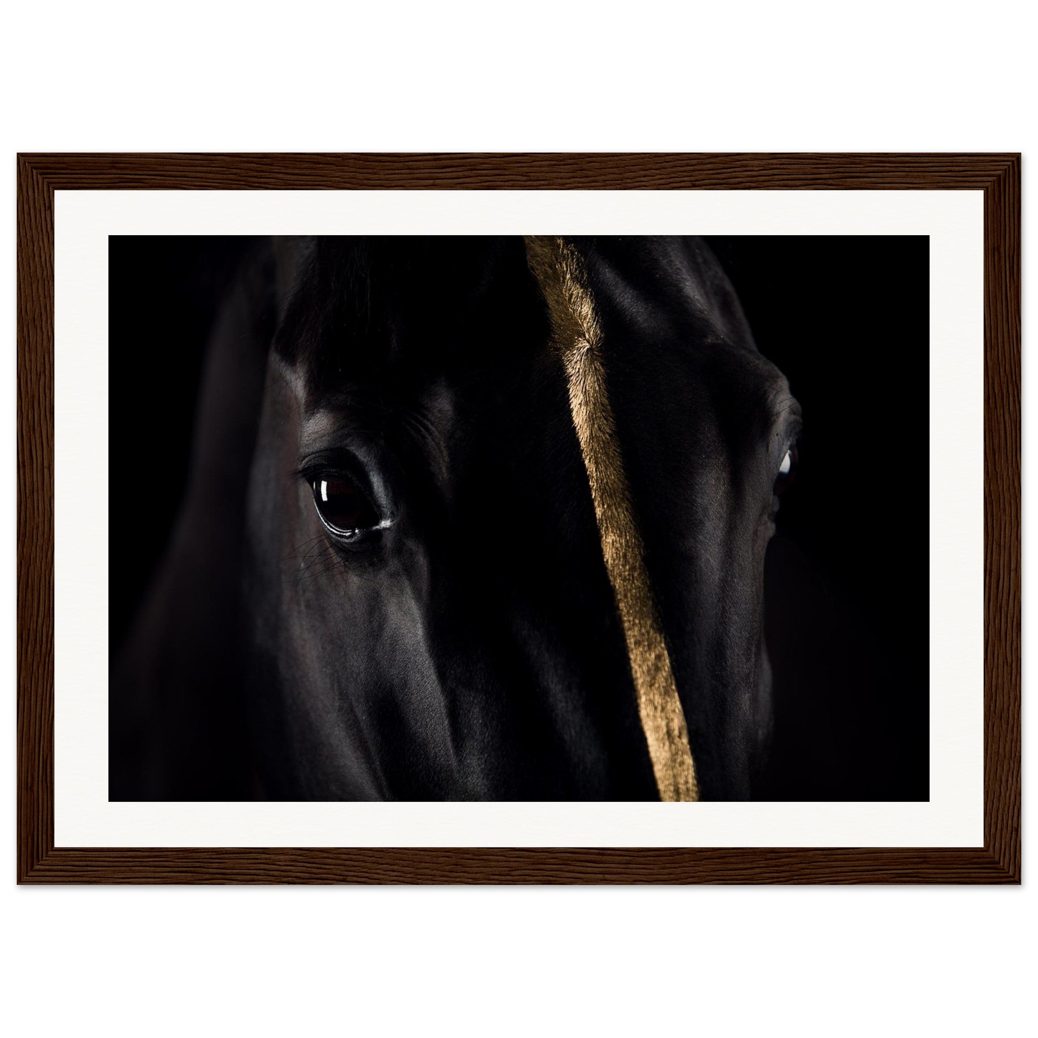 73952c2d-1fb1-4168-ae63-9a3ddf9e3a8d