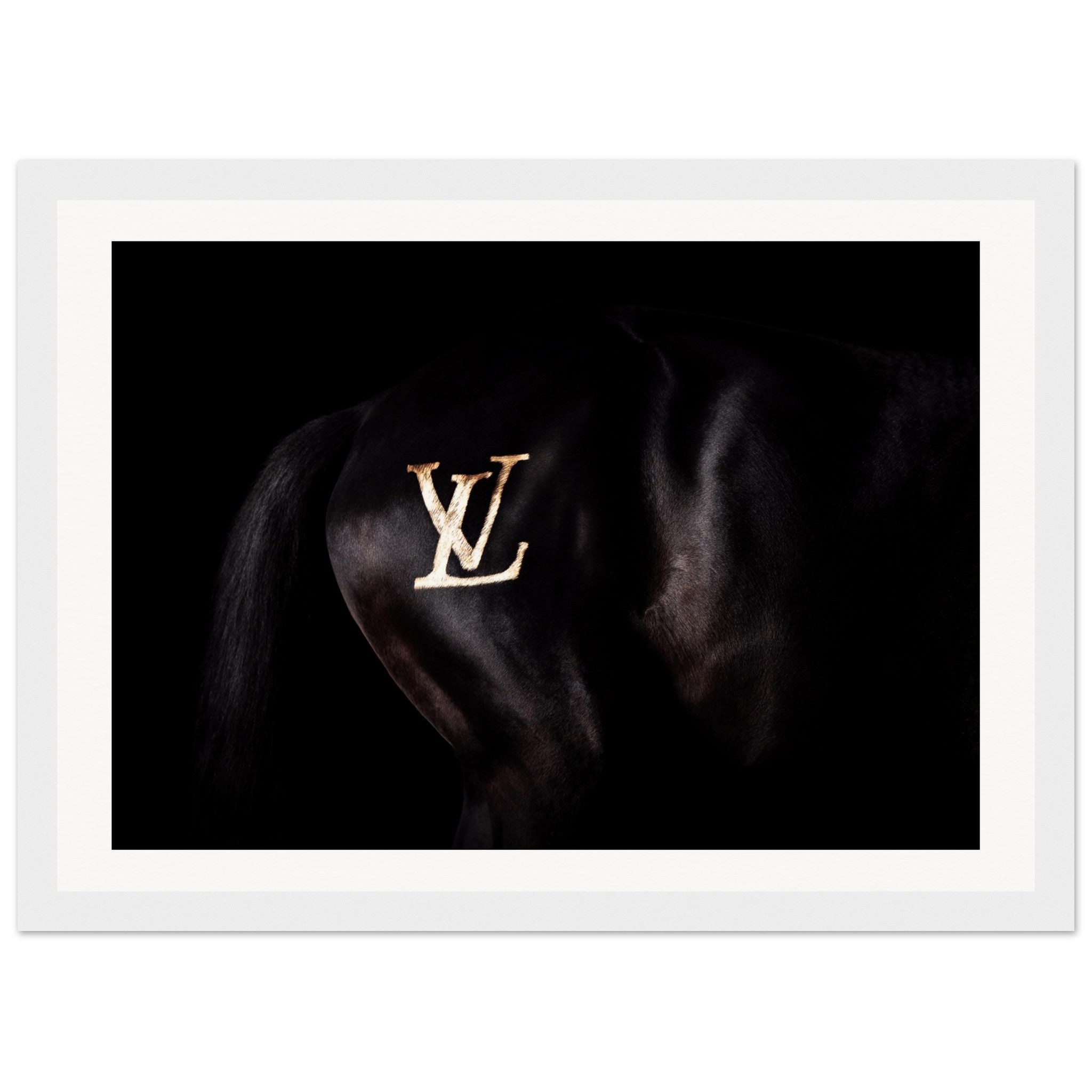 742a577a-a66a-4a9f-97e1-8068f862ed14