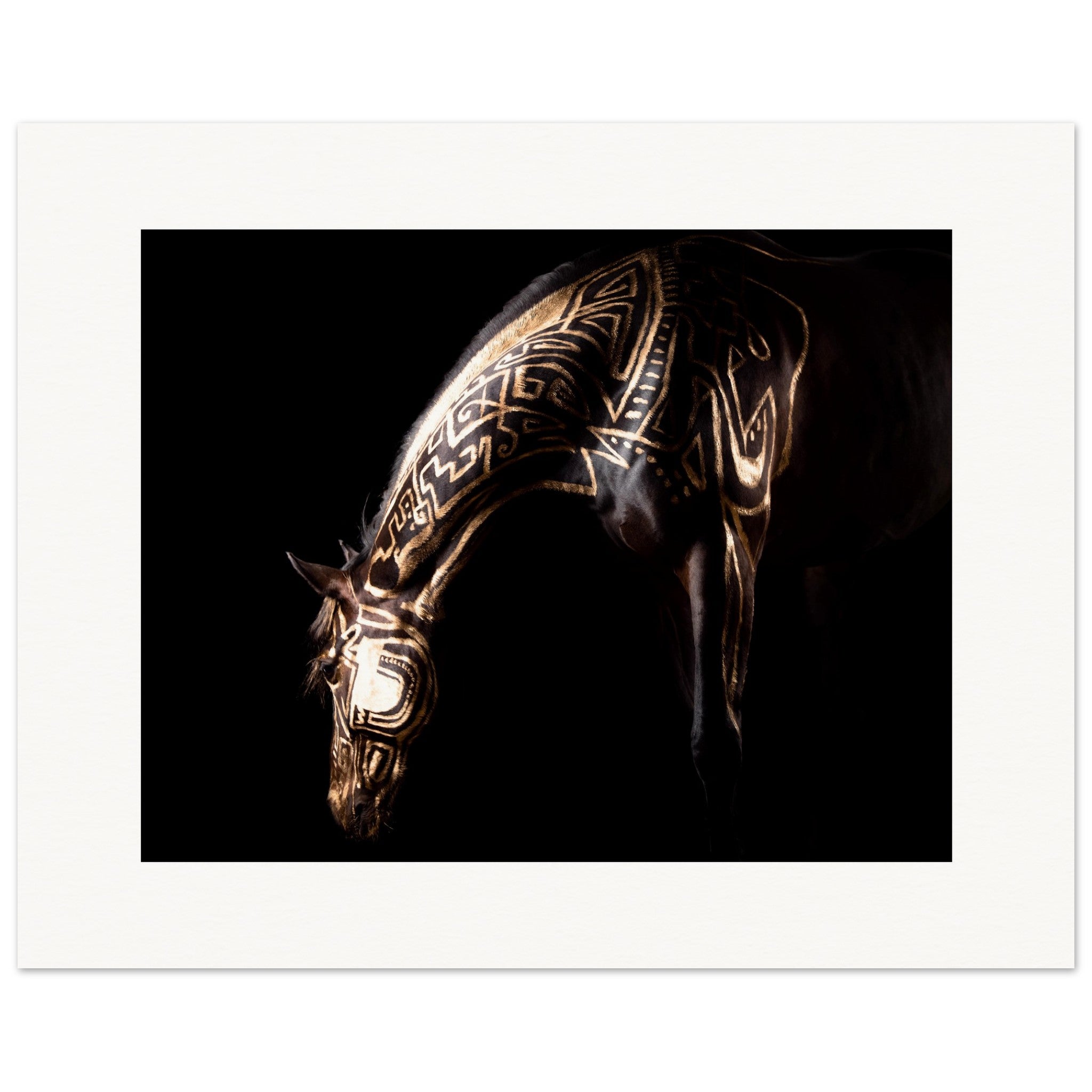 74745665-8227-4f86-a163-615c0c321a67