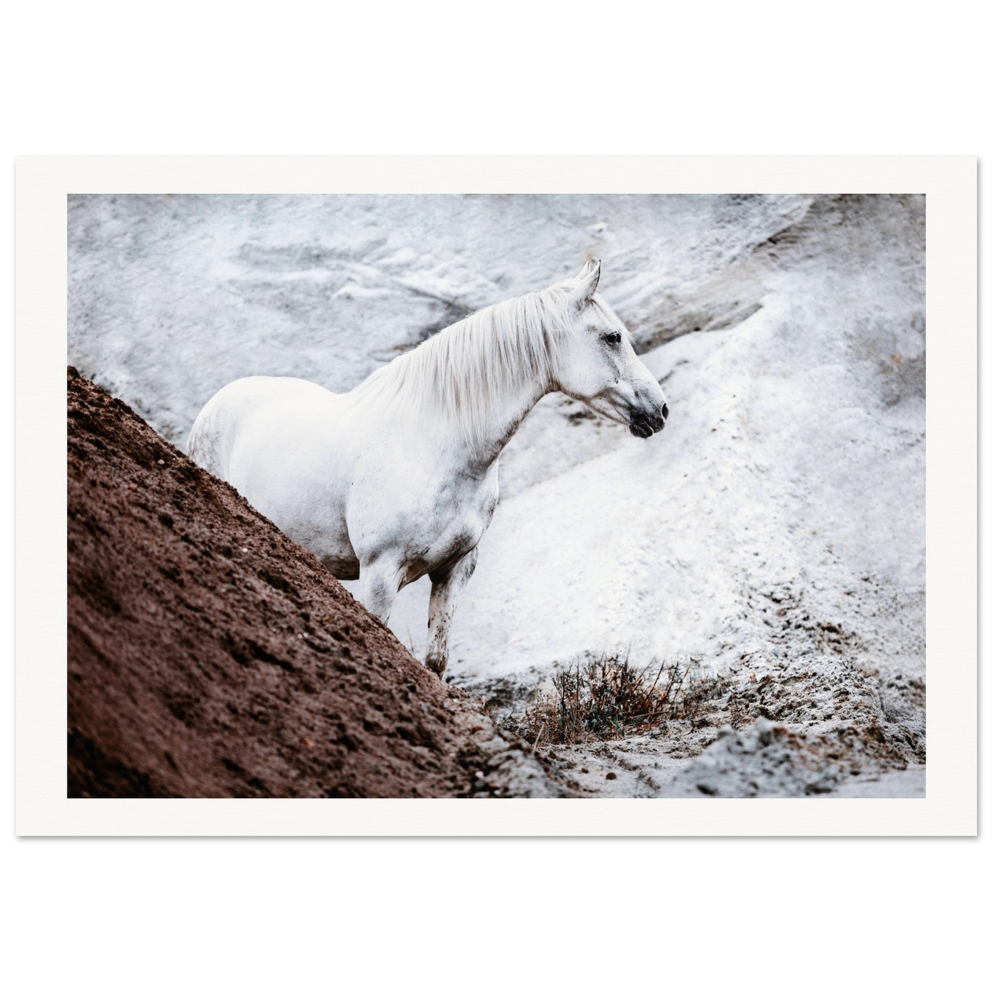 74b21b97-977f-47ad-839b-c696418bba7a