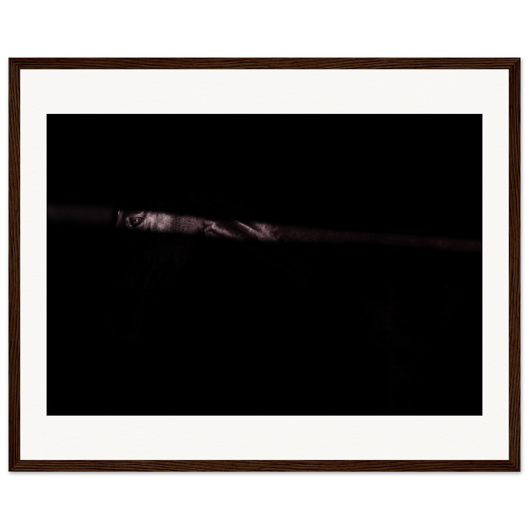 74dc2f3e-1f24-4119-9aa5-2e2196b25faf