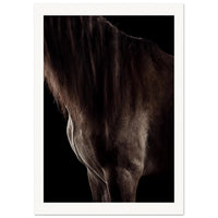 74fd2b9f-2901-4017-b8fb-81f579029888