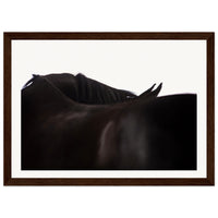 75198506-1602-41ea-bf03-44abaa2ece38