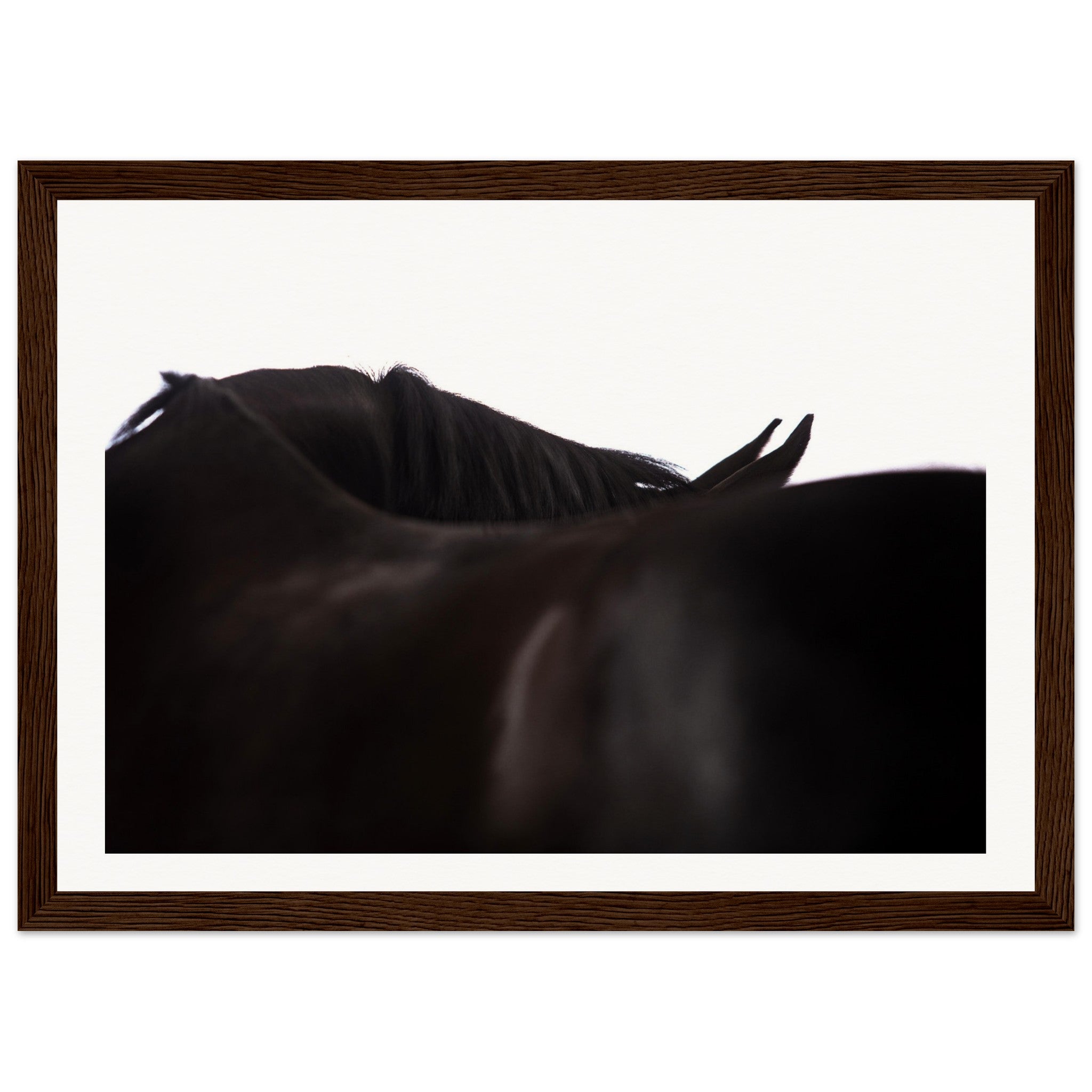 75198506-1602-41ea-bf03-44abaa2ece38