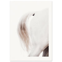 75219f4b-5e04-46e0-b562-459a92606645