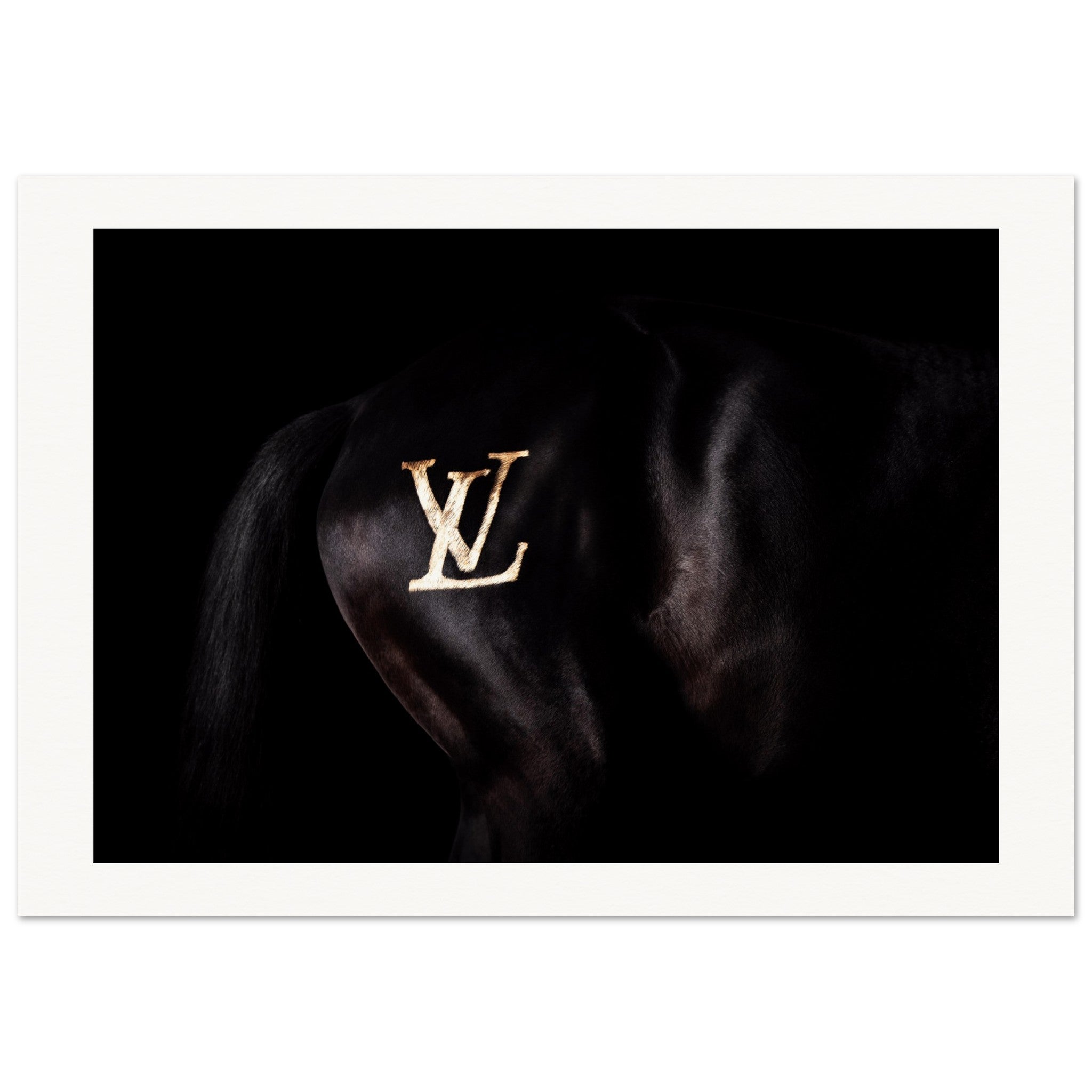 752d412c-c872-4fa0-b605-f66642e752fe