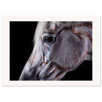 753a8b73-b9ac-412d-aa05-3c98a04c3924