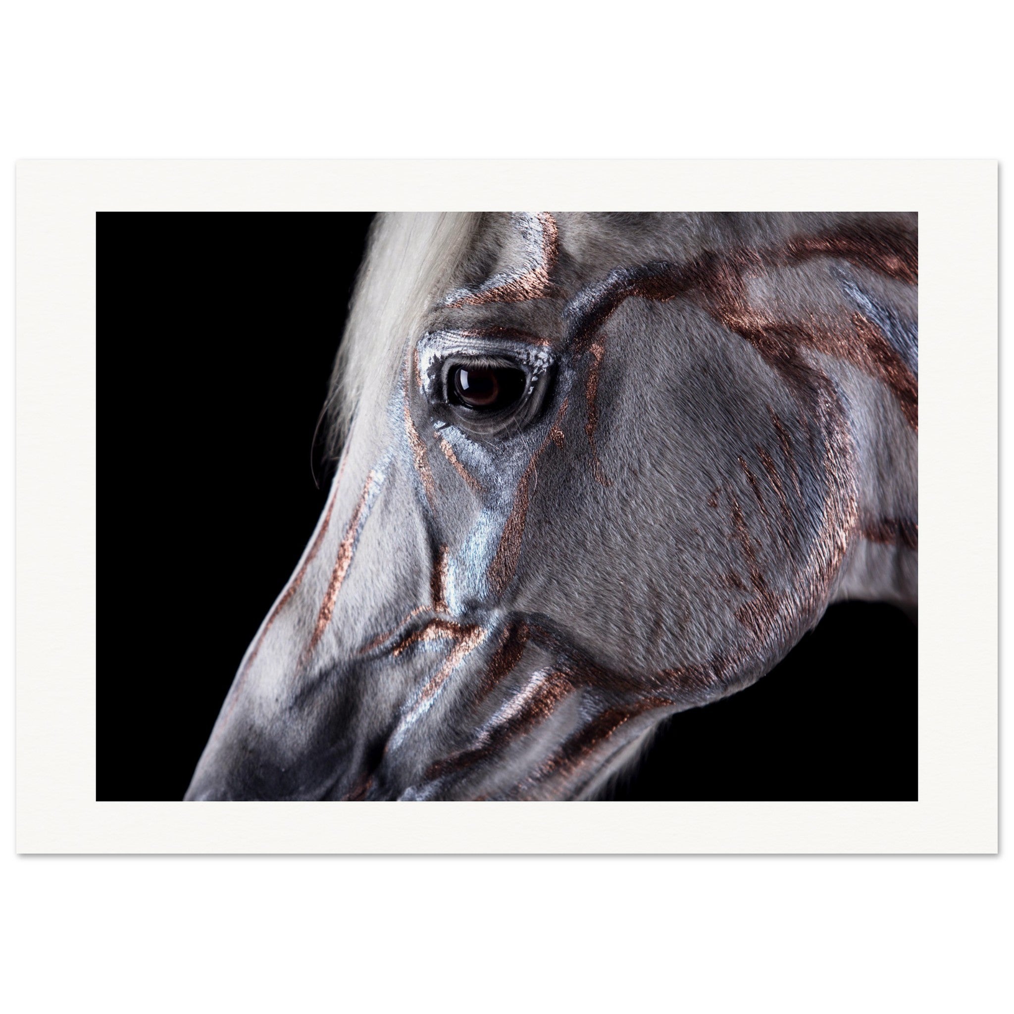 753a8b73-b9ac-412d-aa05-3c98a04c3924