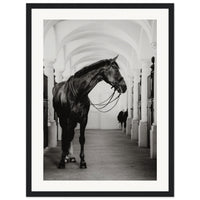 758446e2-4cfe-42ea-b5ca-319e77f2e719