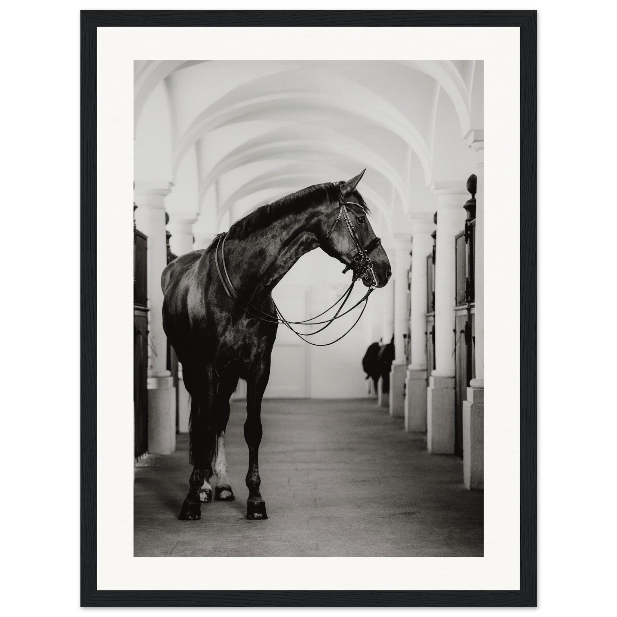 758446e2-4cfe-42ea-b5ca-319e77f2e719