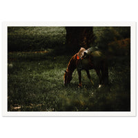 75950f7c-267c-4aab-a0eb-072b1b80d9ff