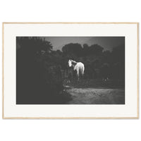 761c257e-ed9d-468a-a6f0-15f0a38e3348