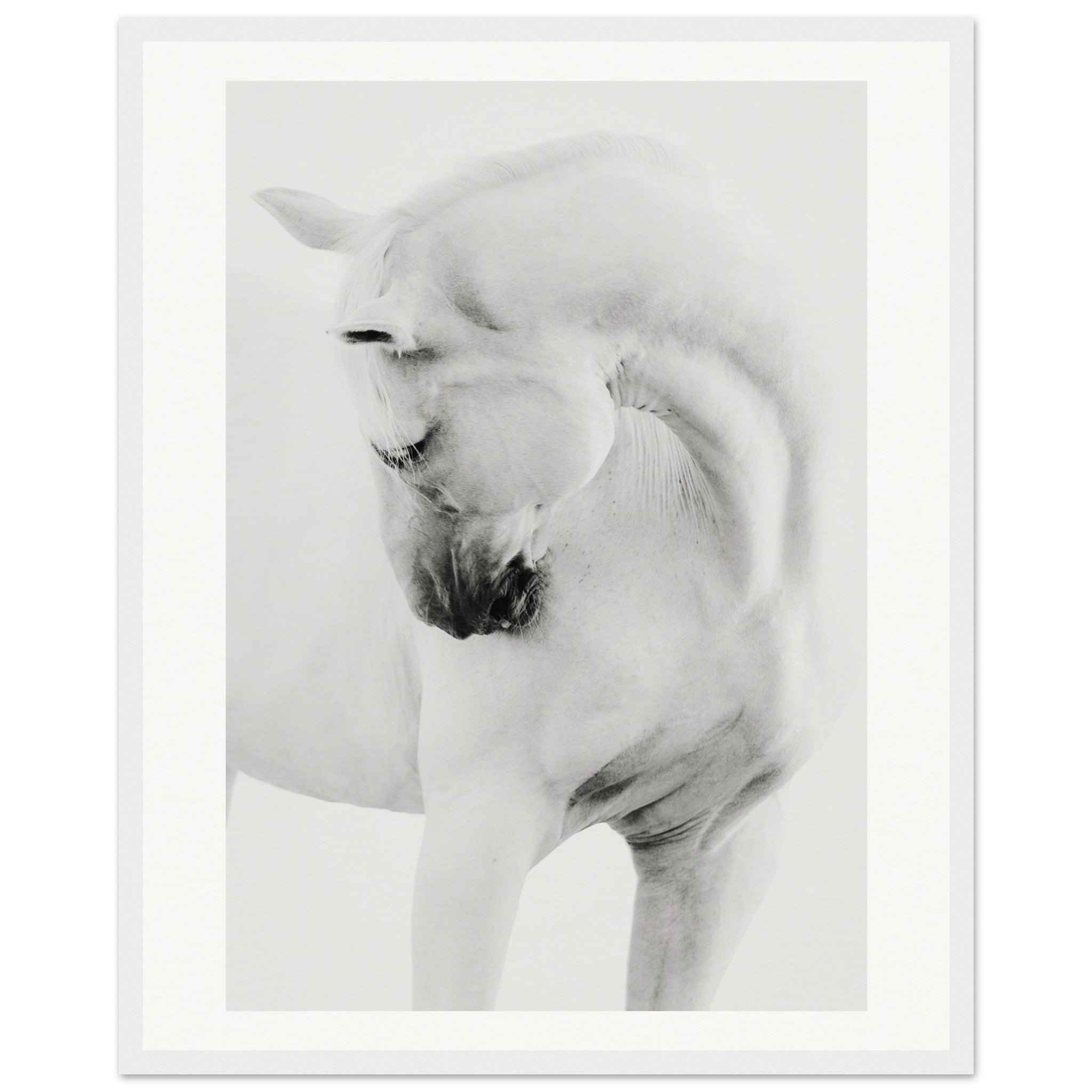 769f7cbc-b48a-4356-b291-3c7e281256bf