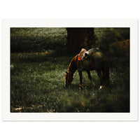 76b1b8df-d44e-45d6-a63e-5c3e19174f6f