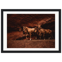 76d40311-c383-498d-b84d-b40035902cfd