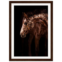 76dc9e55-1a1f-460e-b457-543ddd46a6b7