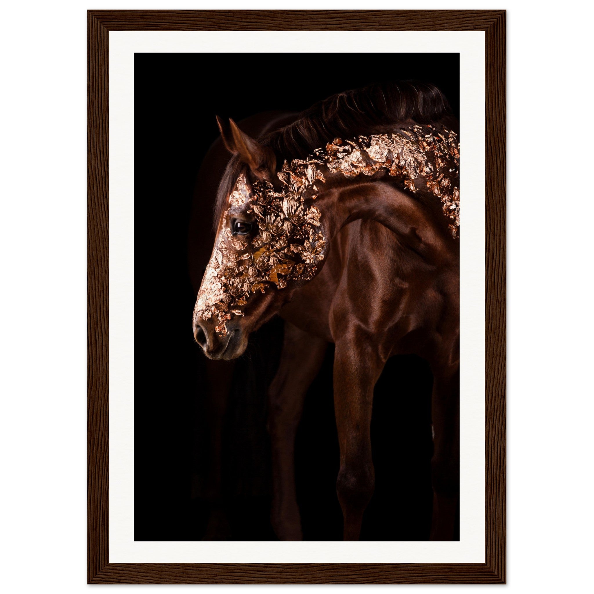 76dc9e55-1a1f-460e-b457-543ddd46a6b7