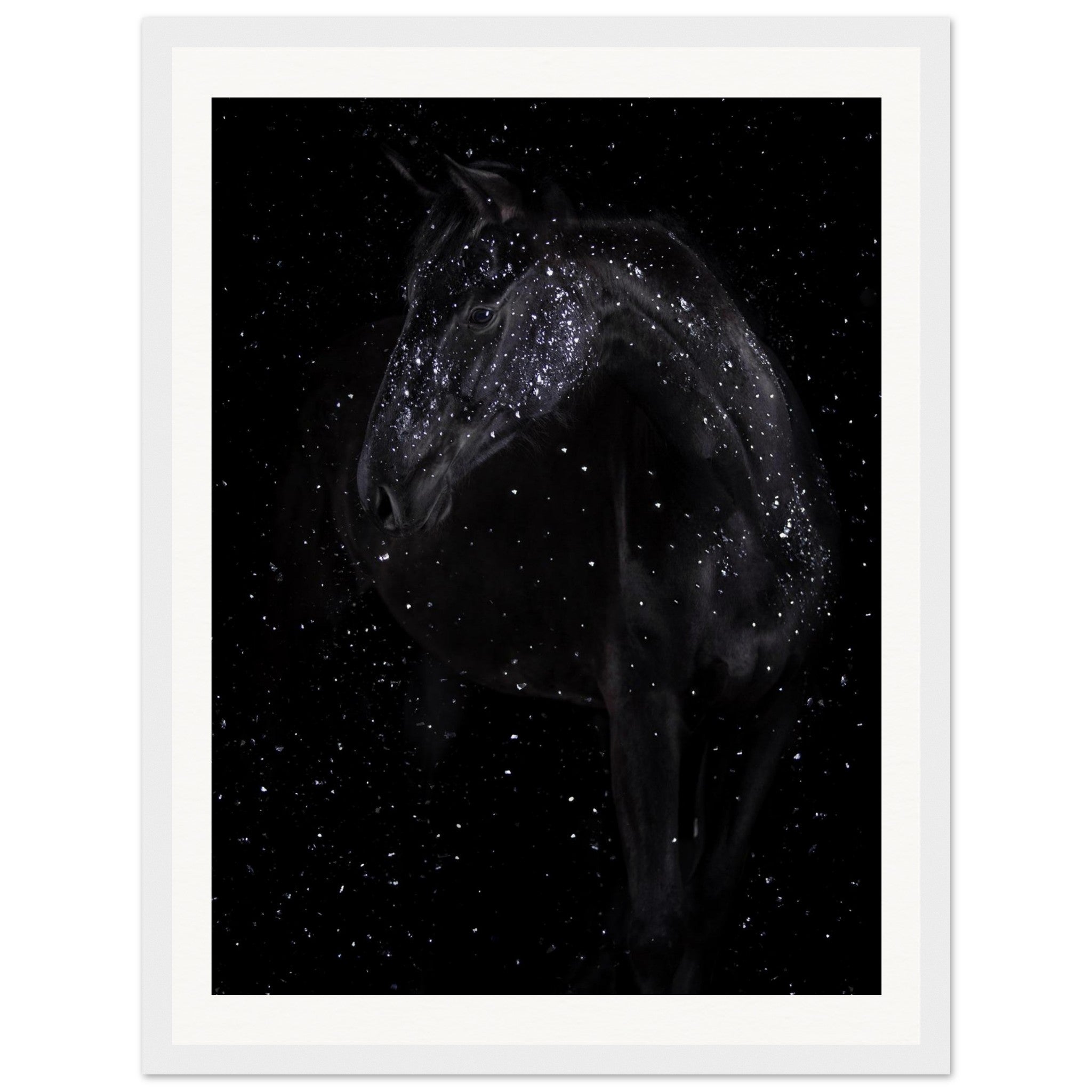 76f1661a-e7c5-4491-a56b-436ee4f138cd