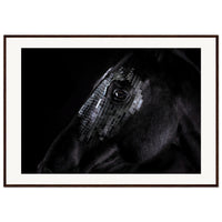 77194bfe-1b10-4f40-a7a0-17ef61a69e45