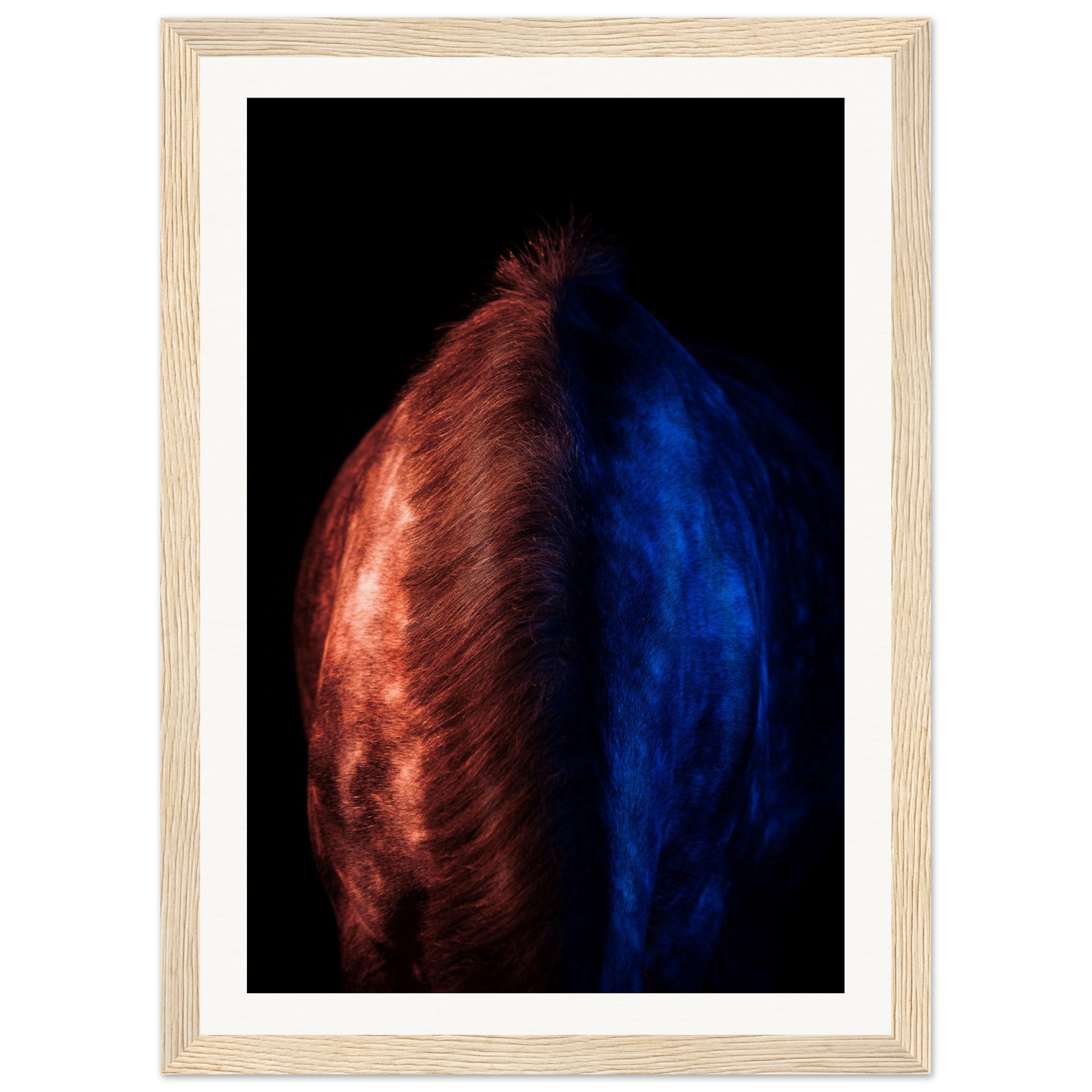 7724defd-b3ec-452c-98e6-c68478cc645c