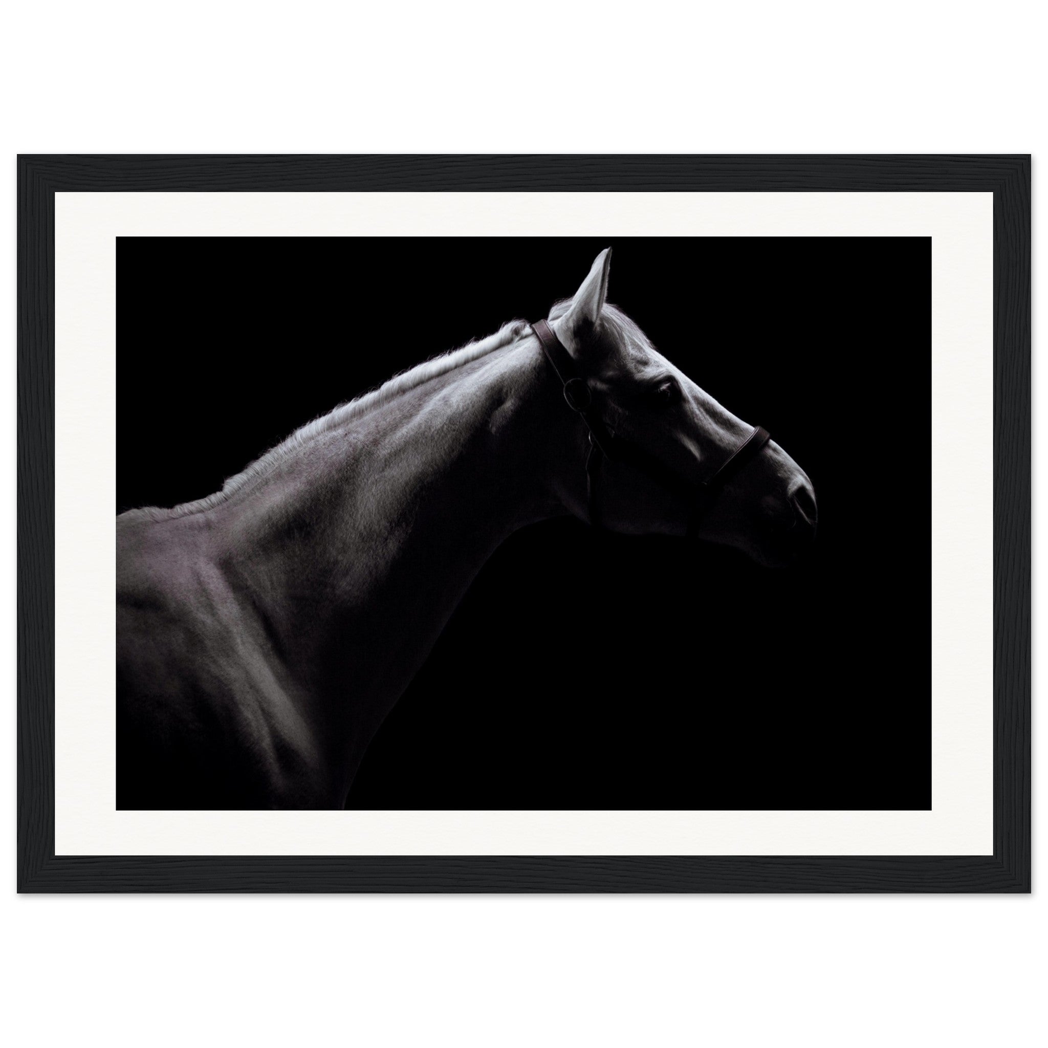 7732842d-b246-4735-8274-122d25e6c76c