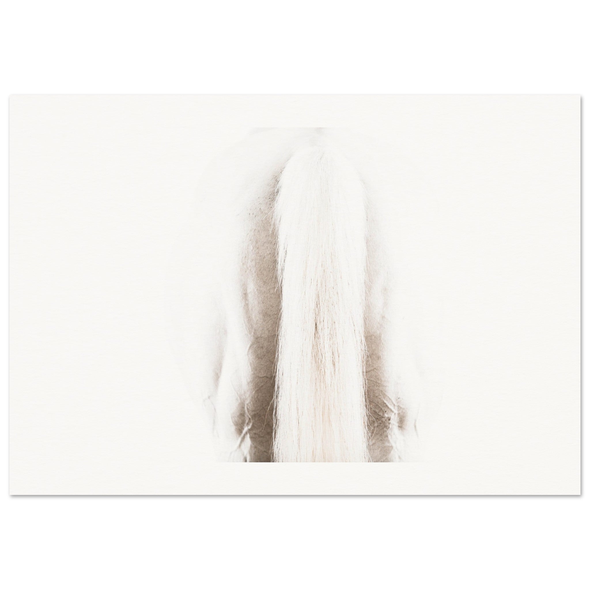 777d82a7-e2ae-49ff-9a61-0985a6fce879