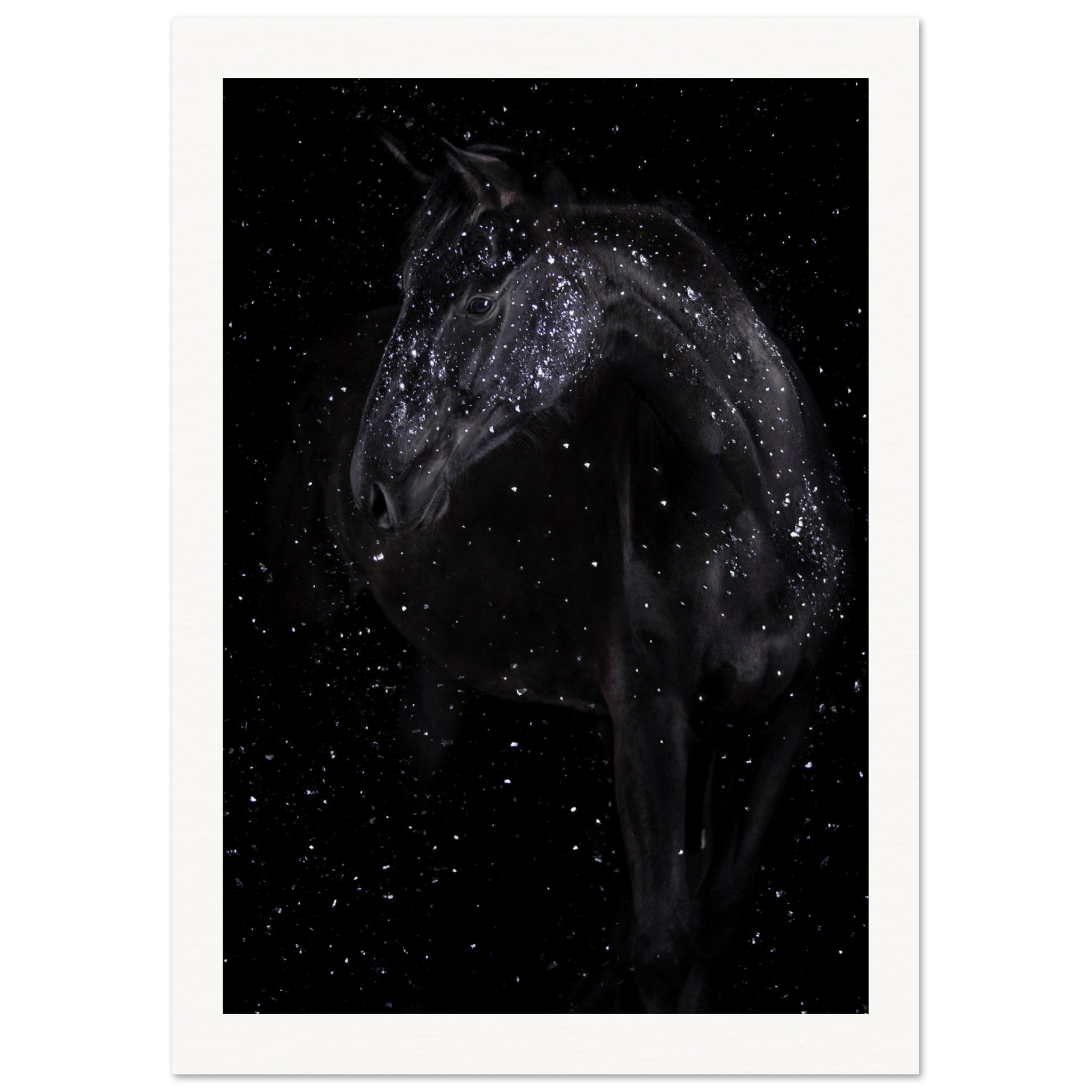 77a36ca6-2d24-4665-8705-77b512938eb9