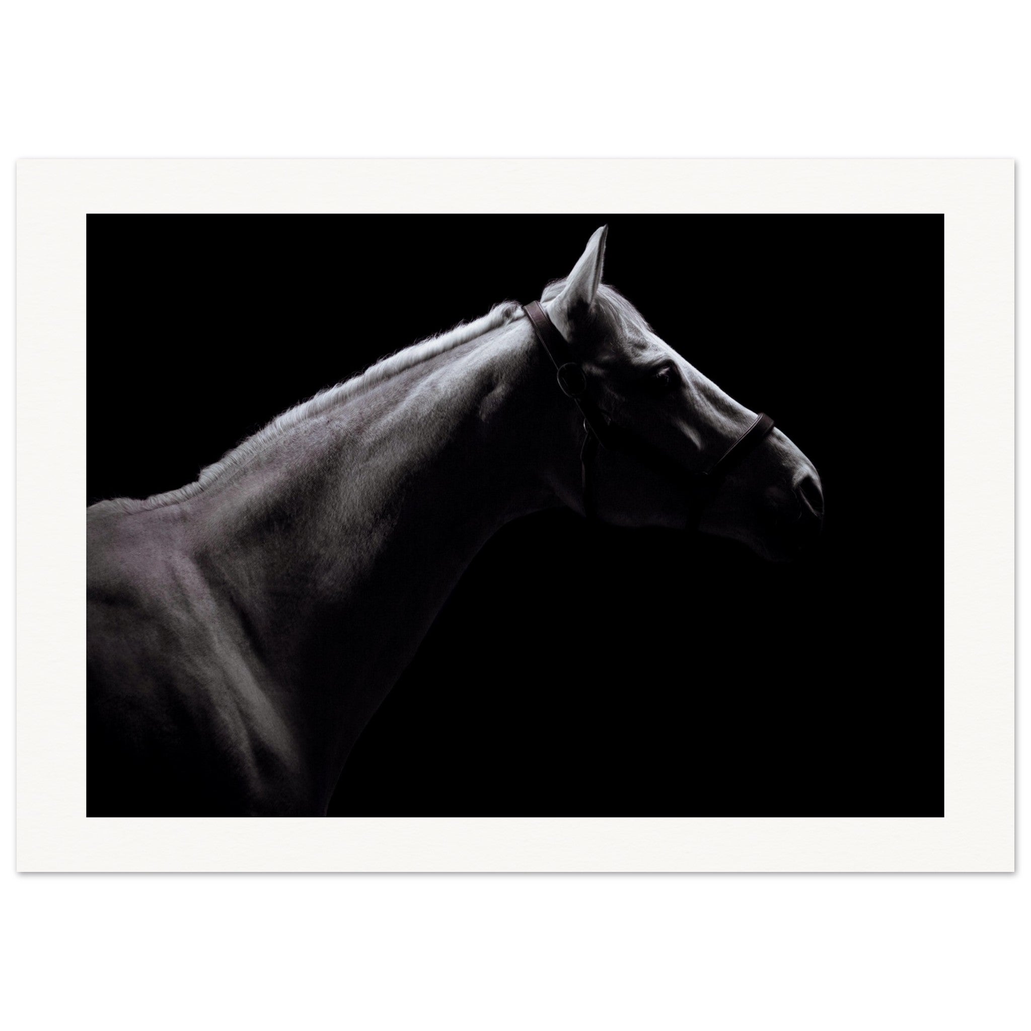 77ac6b62-65eb-4b2a-ac51-4542521b584b