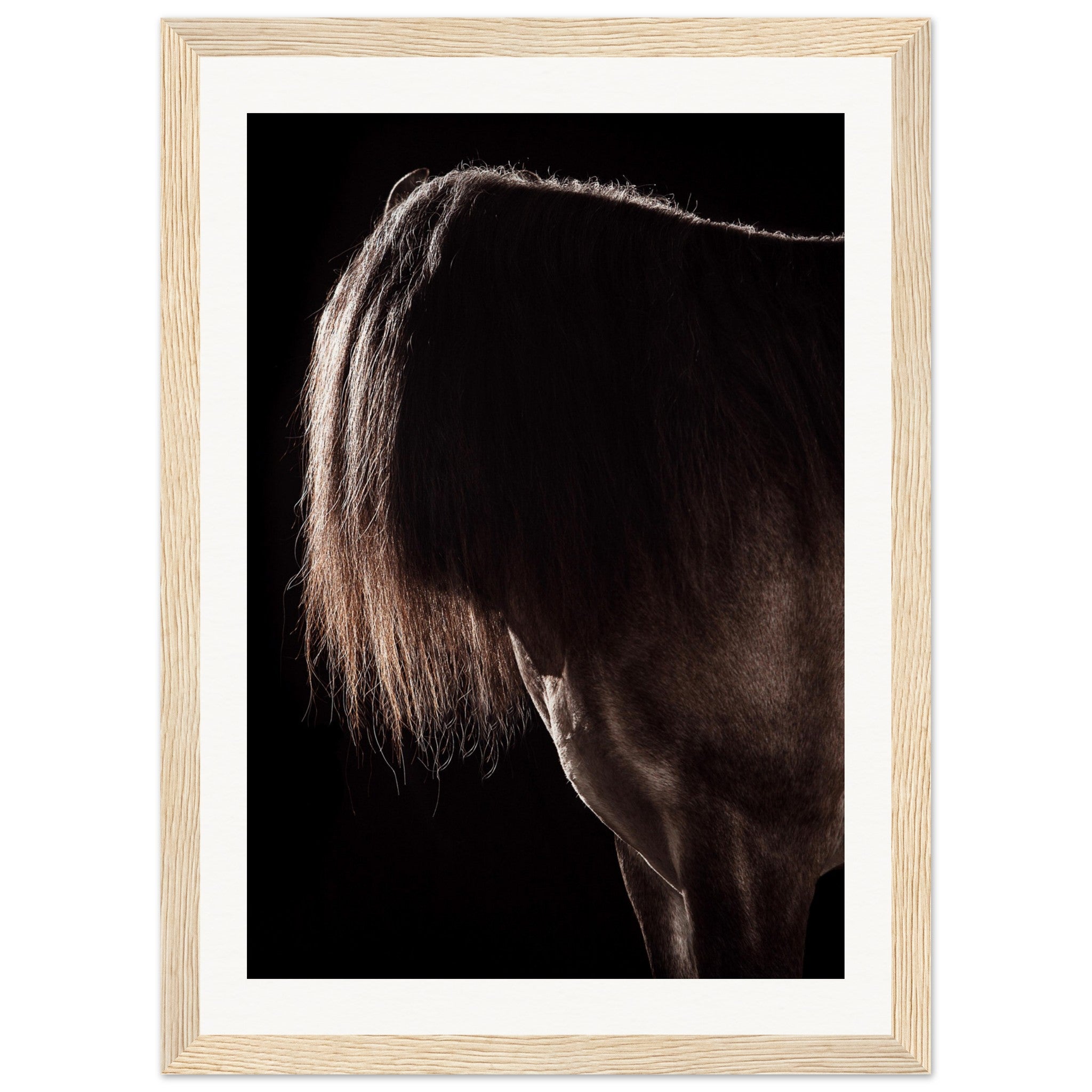 77c1f679-152b-47d3-9fa9-3a6ebf5a0ba1