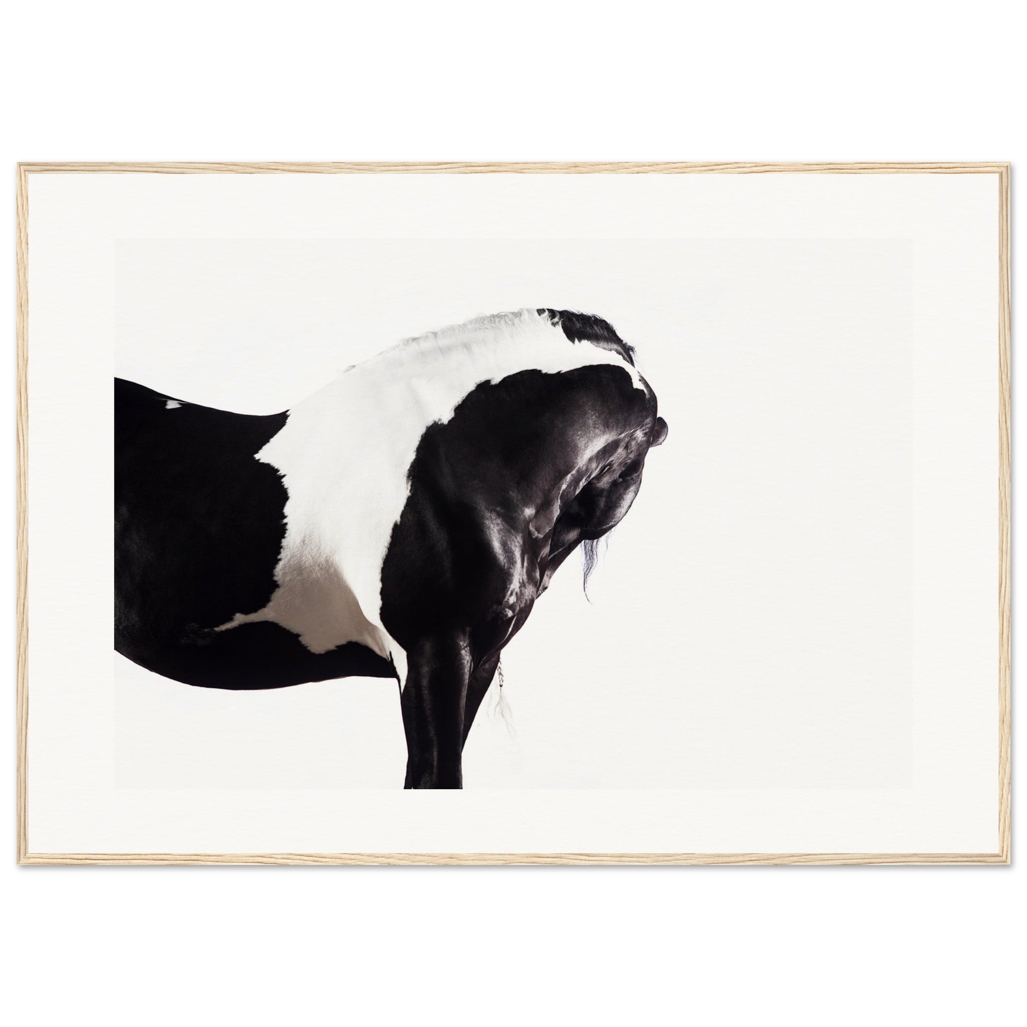 780698cd-d864-47ac-8cbb-f1b1130455b7