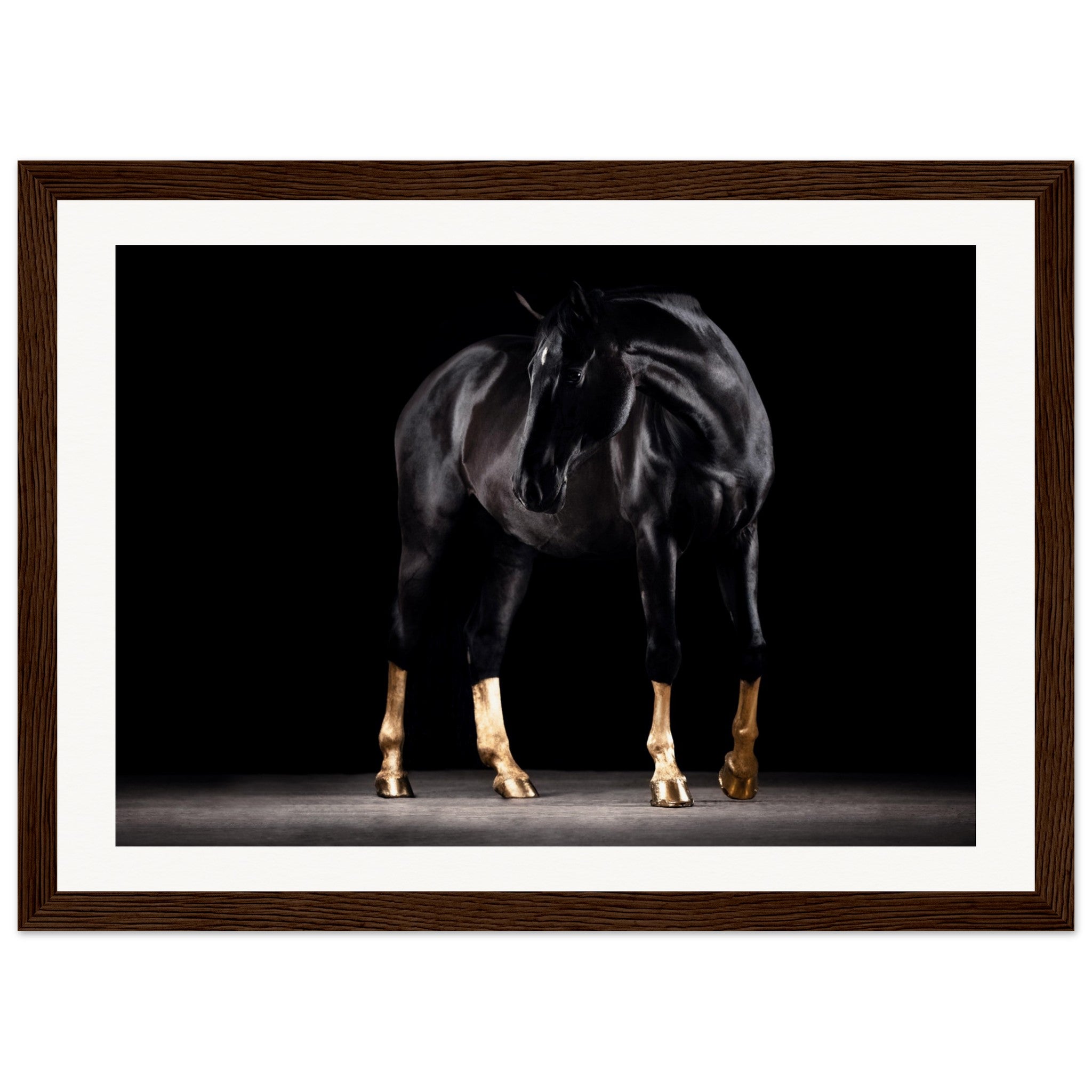 785b9173-4204-4659-a1f5-062190d5aef1