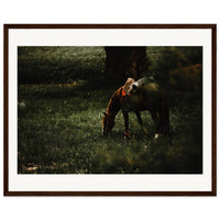 78e4790c-b03e-4eb9-8d40-16e741fa912d