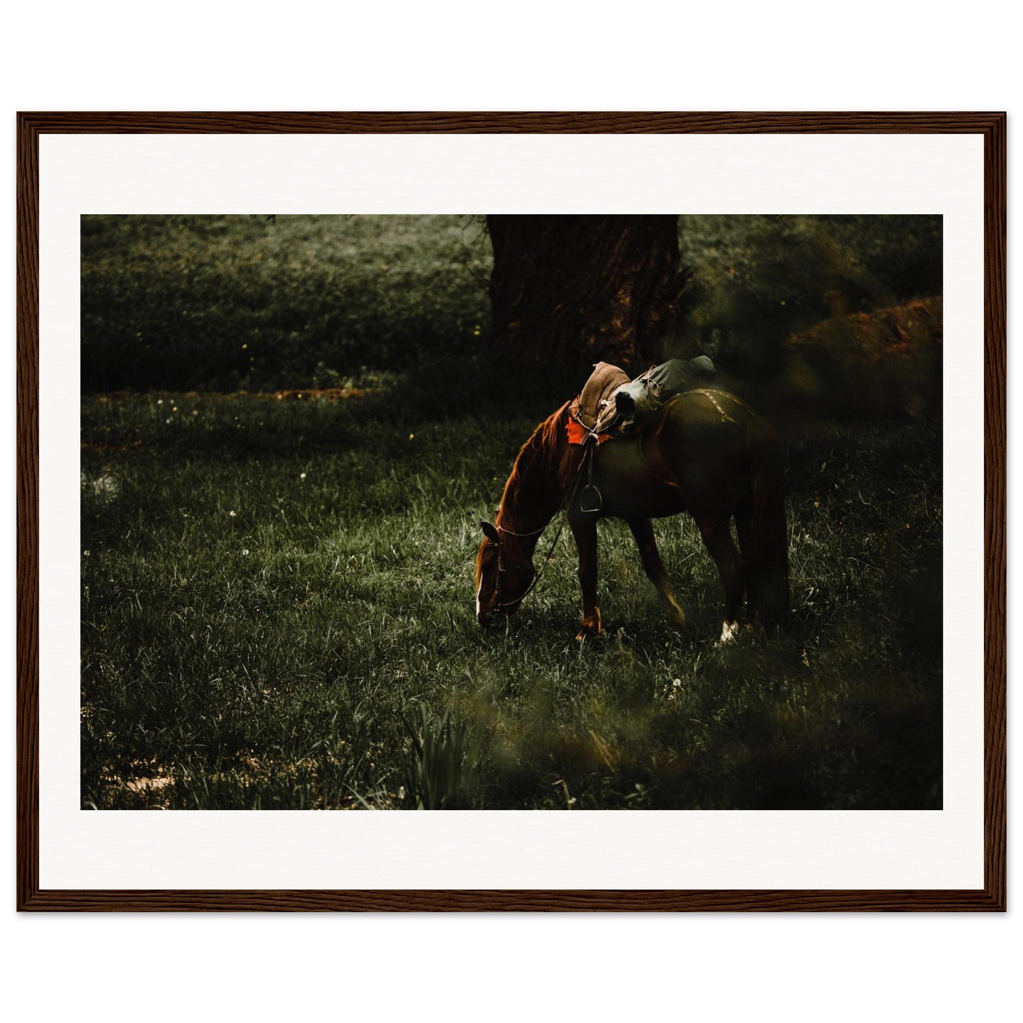 78e4790c-b03e-4eb9-8d40-16e741fa912d