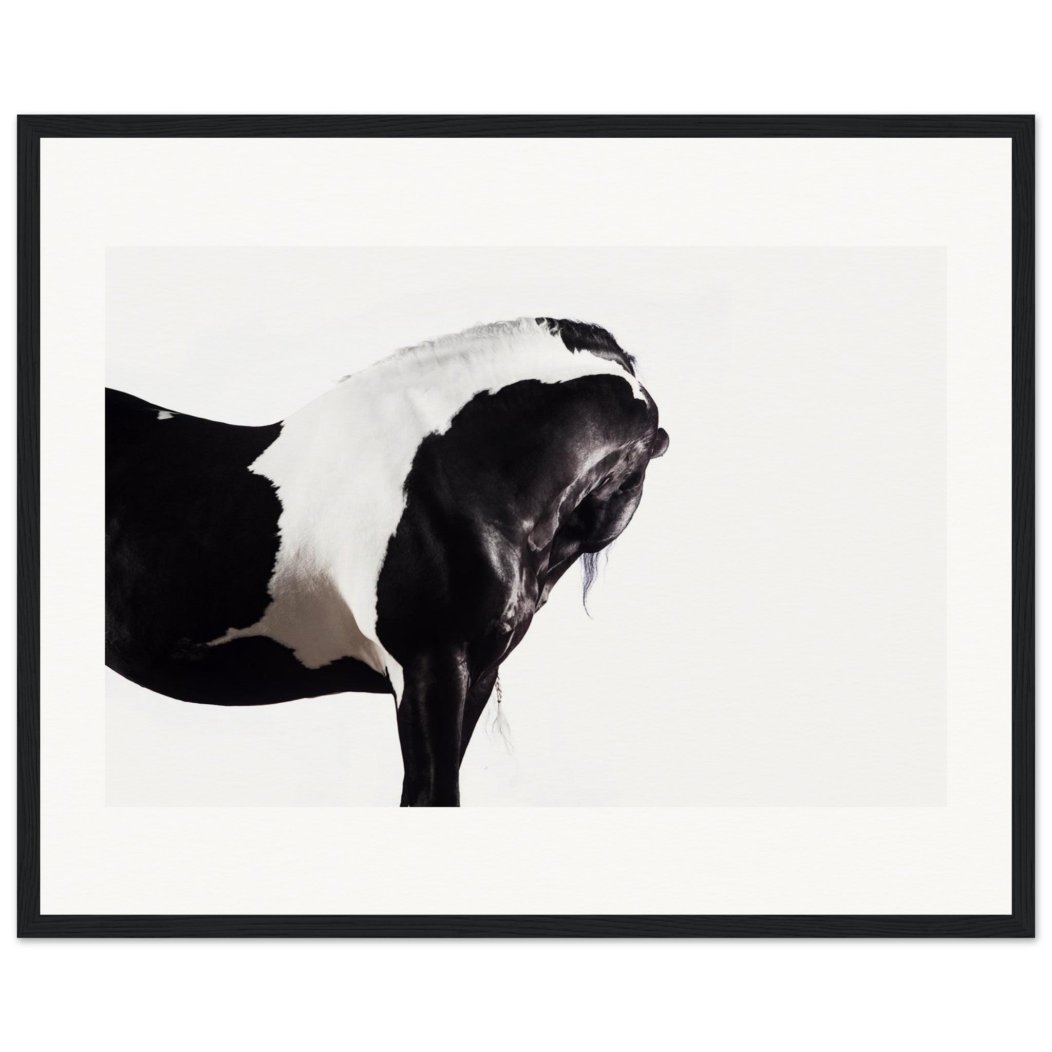 78eef902-b433-4b3b-8a11-0d2f039f63b9