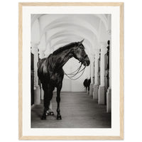 7953ce65-7e6c-4f78-8f37-09318f492f1a