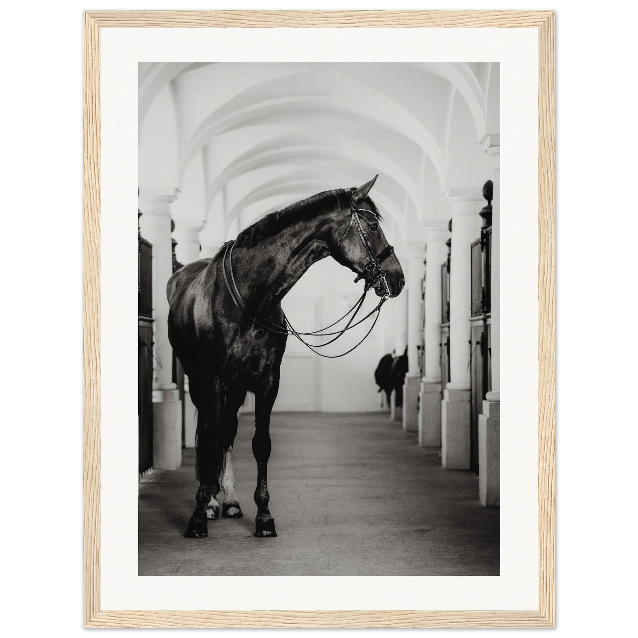 7953ce65-7e6c-4f78-8f37-09318f492f1a