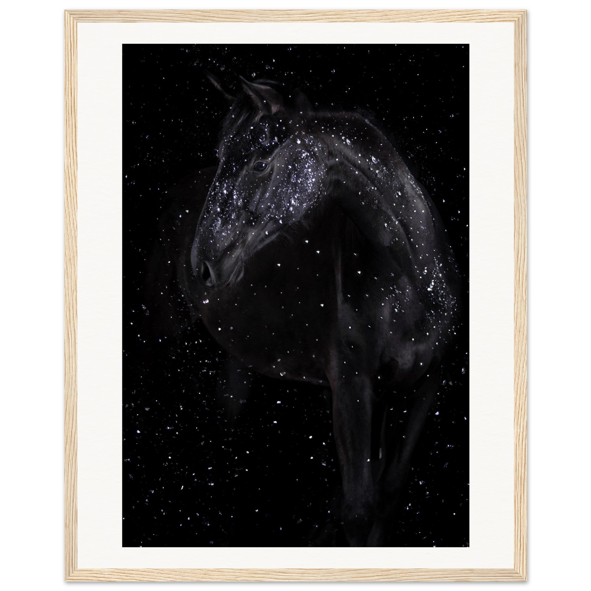 795686fd-71f7-448b-b396-d765bf1069d8