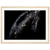 7956a840-5582-4ef0-8dac-c0c37a12e4f1