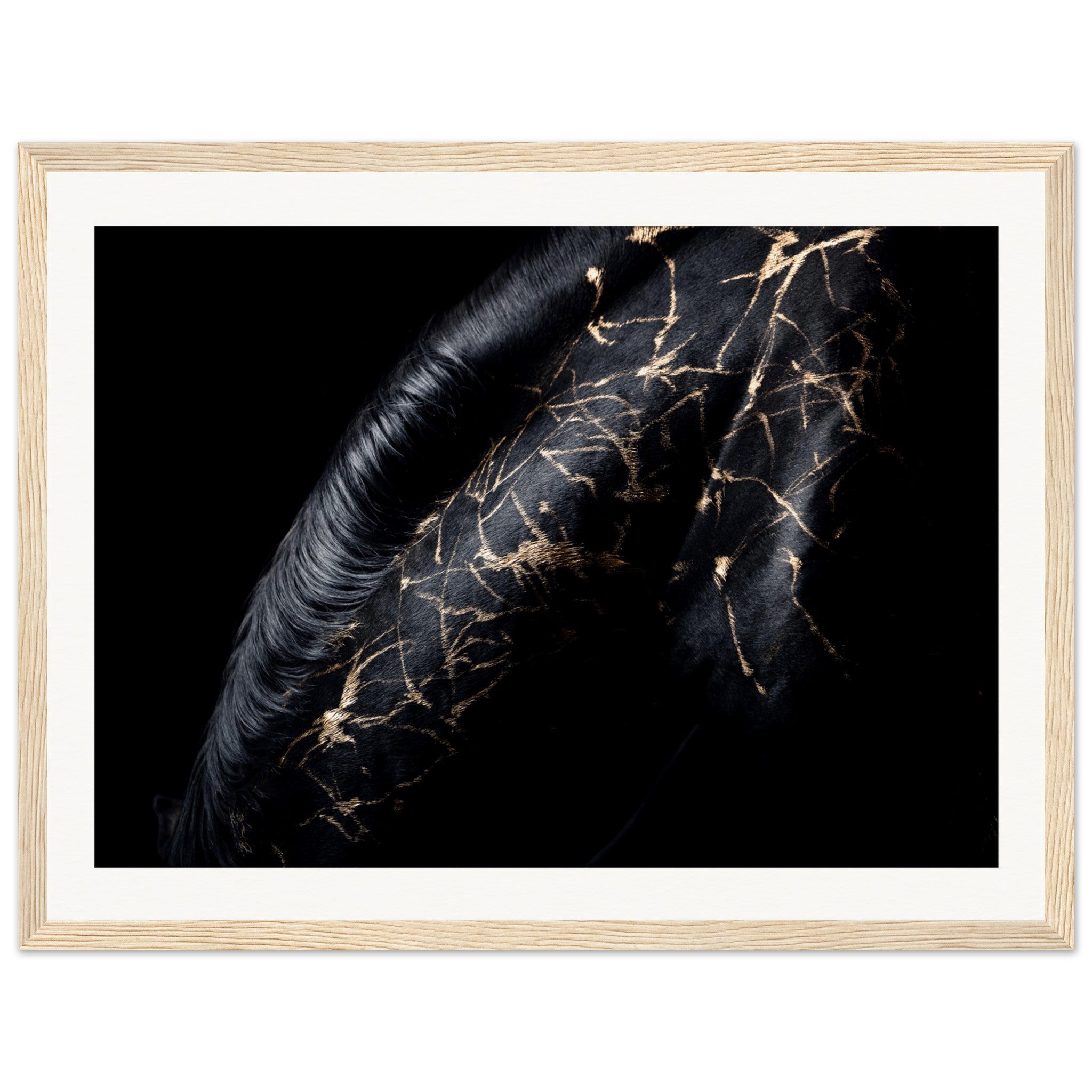 7956a840-5582-4ef0-8dac-c0c37a12e4f1