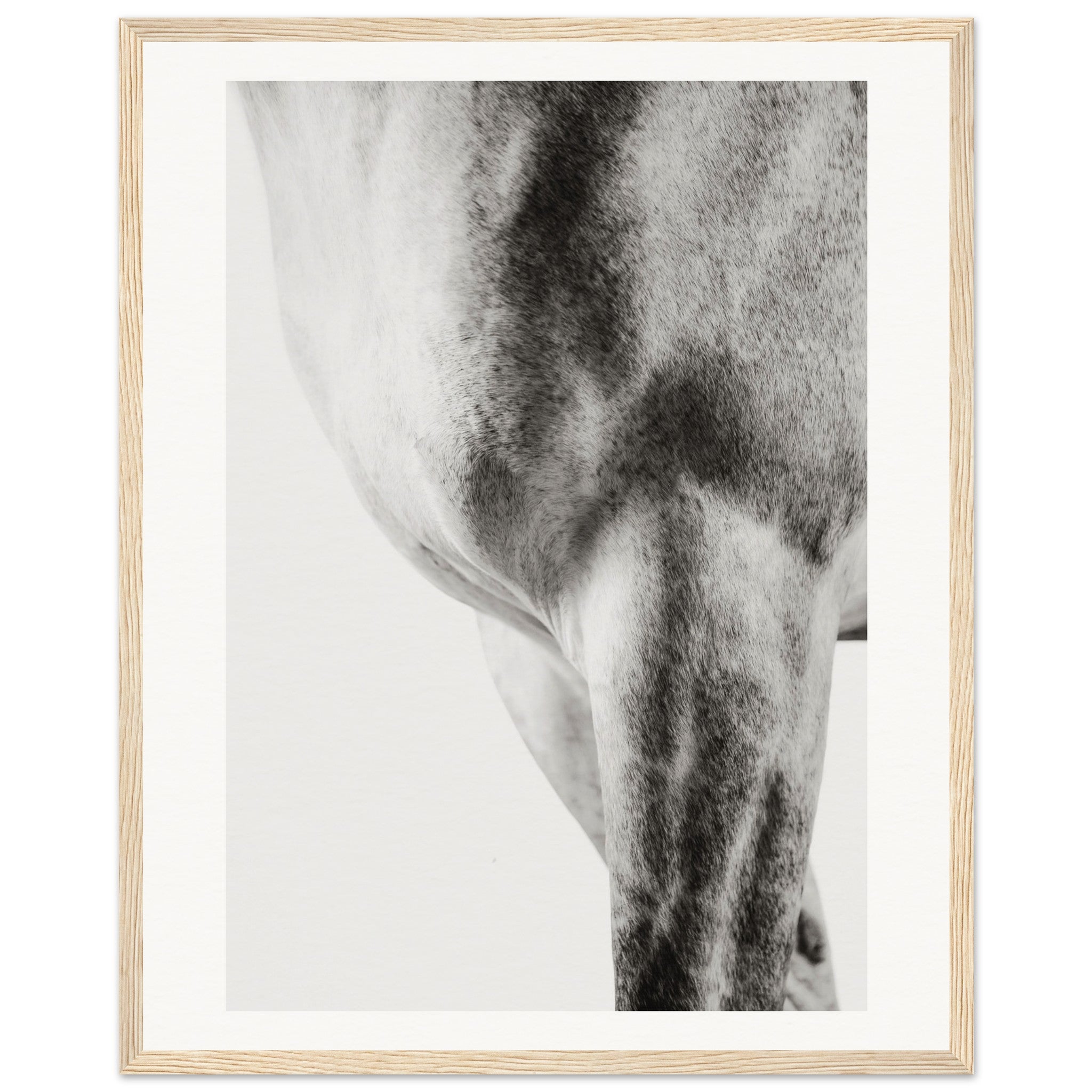 799c7769-1933-48d4-a6b1-165737f63d86