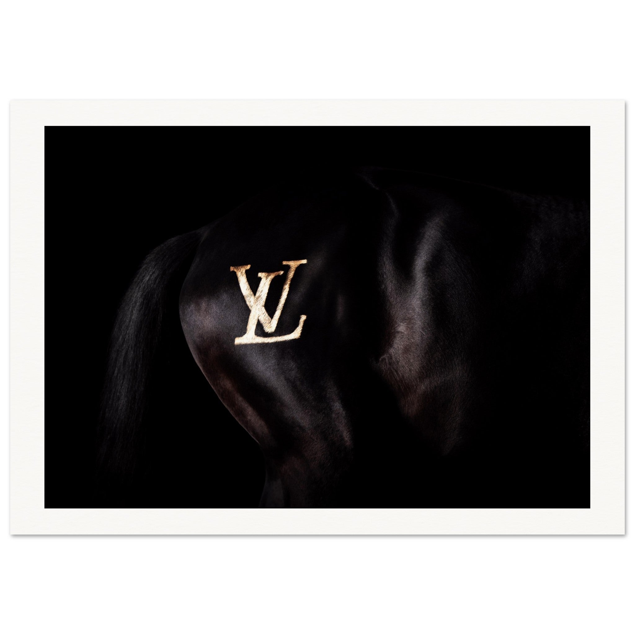 7a118835-fd9f-4312-b7c0-12d70ea82b07