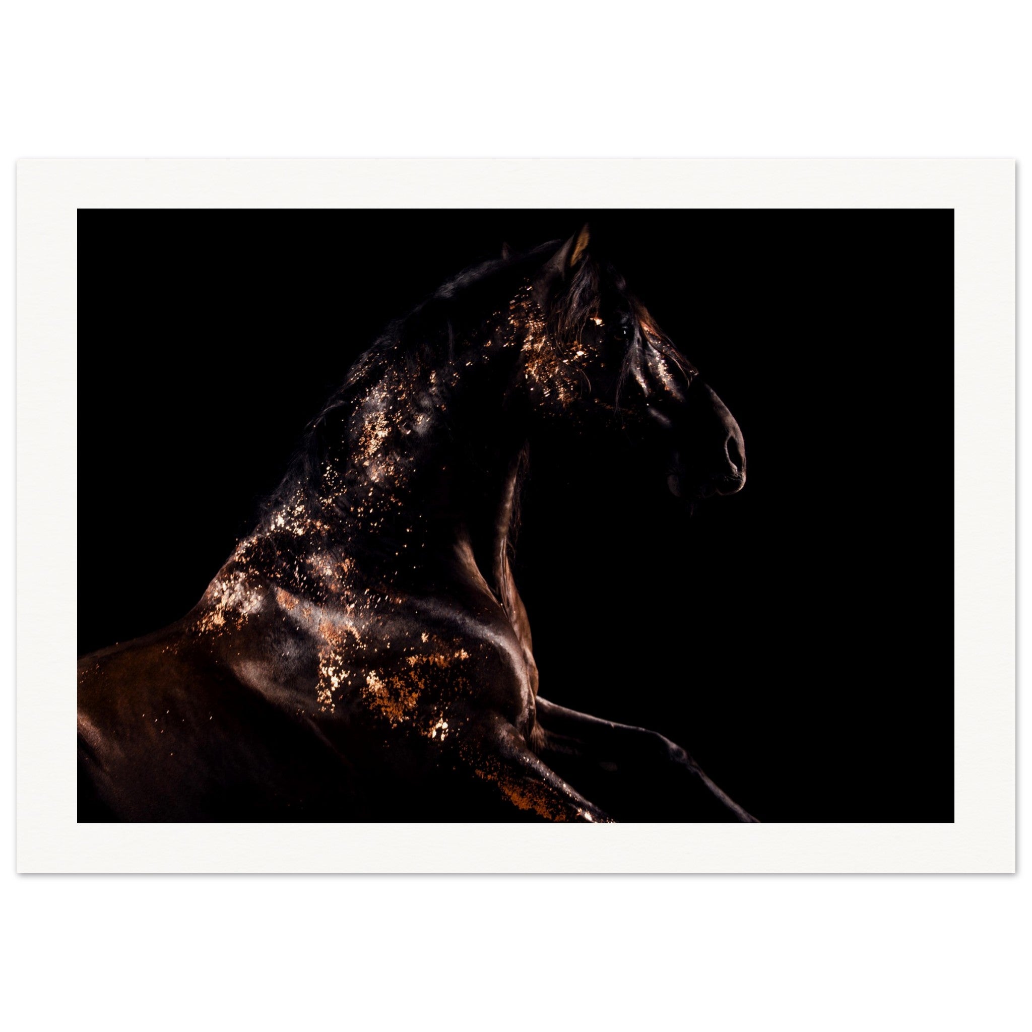 7a20c54e-05e1-4724-af11-6cc6c30e709e